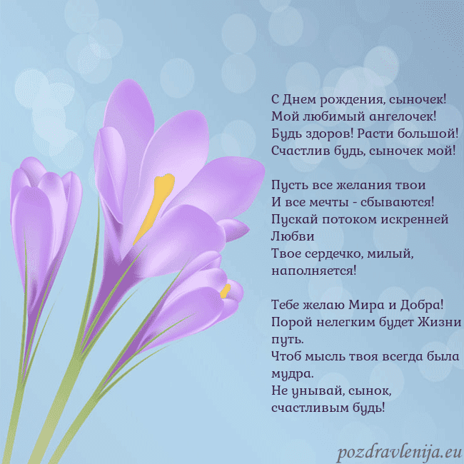 Открытка с крокусом