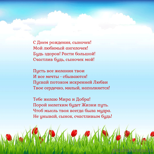 Открытка с тюльпанами