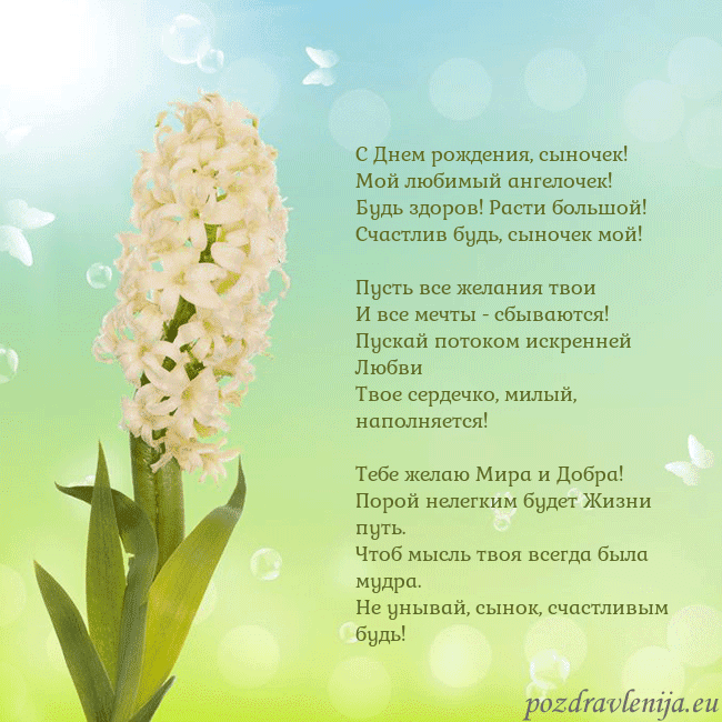 Открытка с гиацинтом