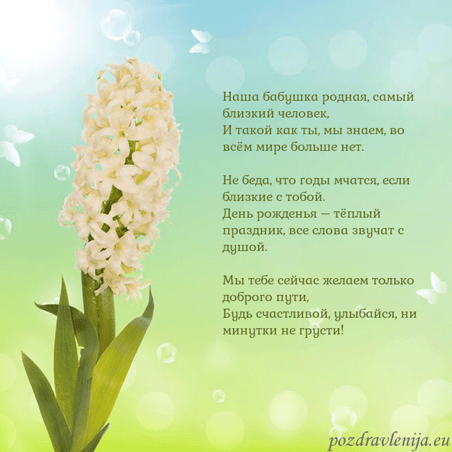 Открытка с гиацинтом