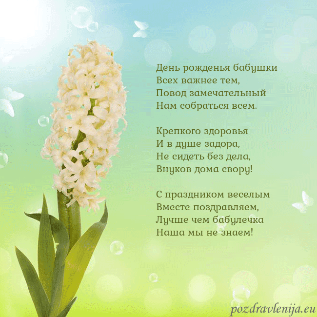 Открытка с гиацинтом