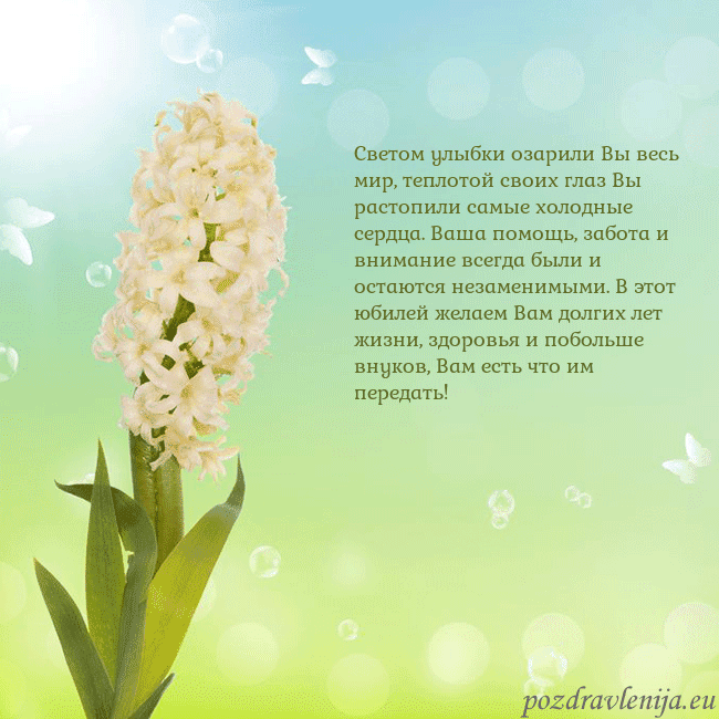 Открытка с гиацинтом