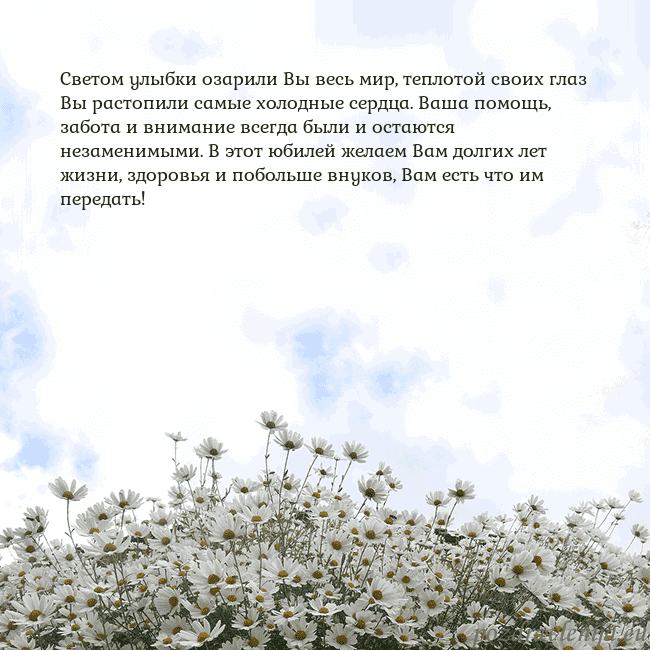 Открытка с ромашками