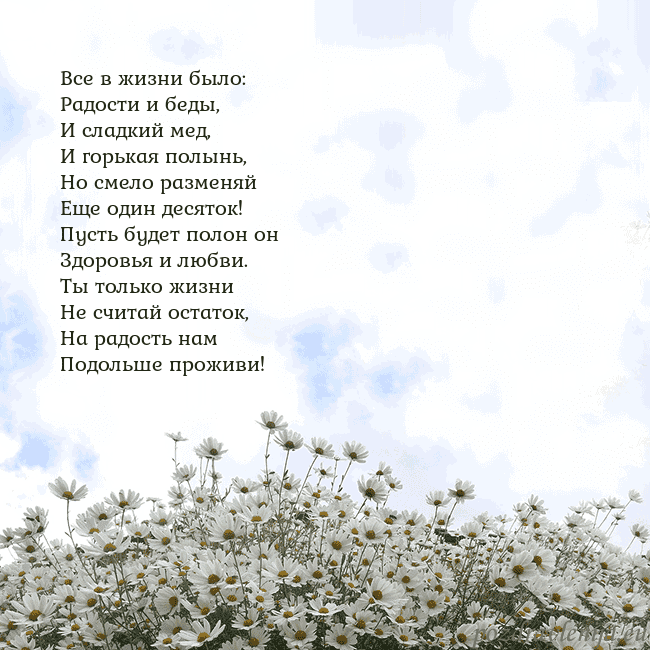 Открытка с ромашками