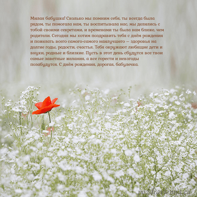 Электронная открытка с белыми цветами