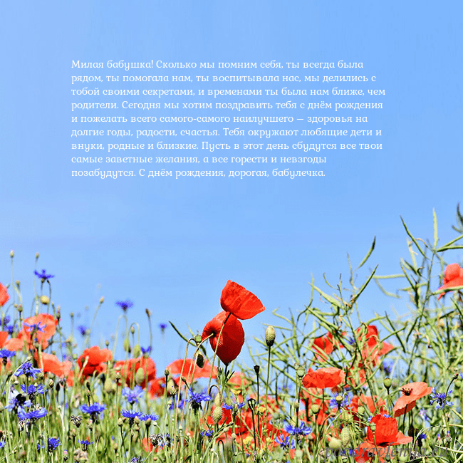 Открытка с маками