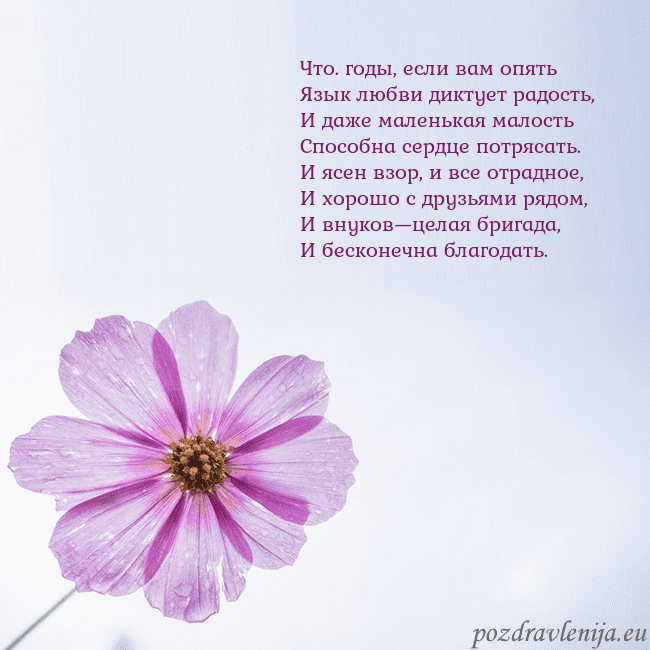 Электронная открытка с фиолетовым цветком