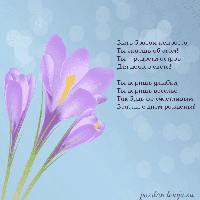 Открытка с крокусом