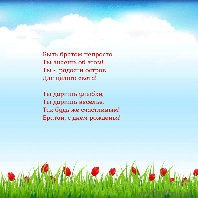 Открытка с тюльпанами