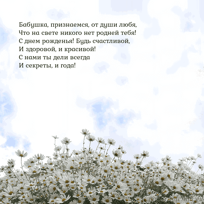 Открытка с ромашками
