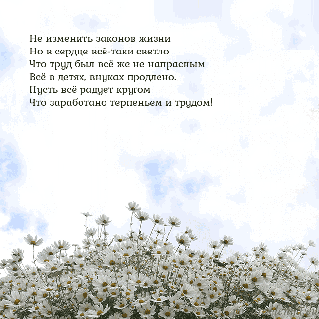 Открытка с ромашками
