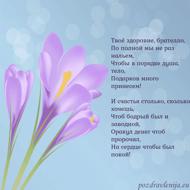 Открытка с крокусом