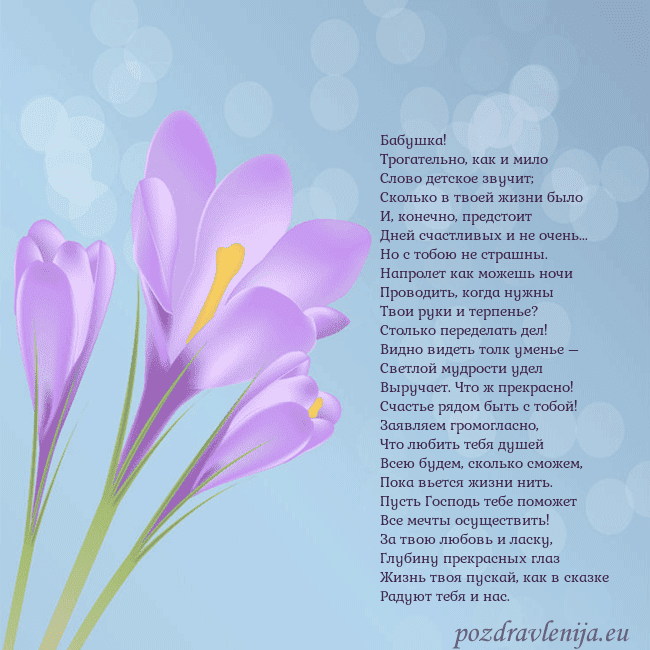 Открытка с крокусом