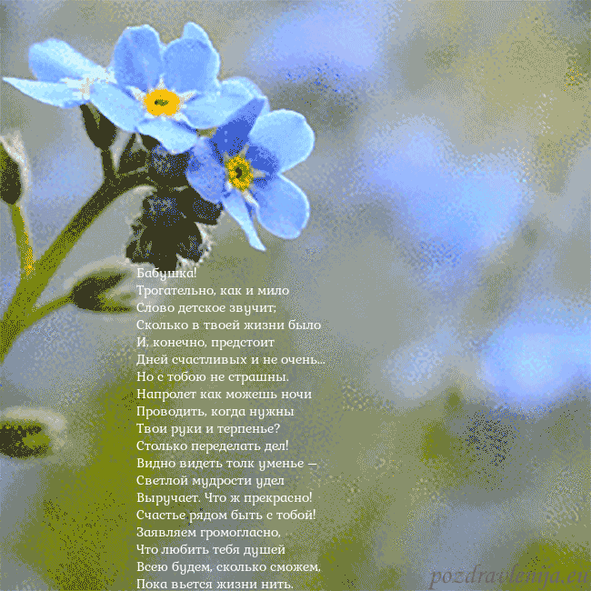 Электронная анимированная открытка с незабудками Бабушка!
Трогательно, как и мило
Слово детское зву Электронная анимированная открытка с незабудками