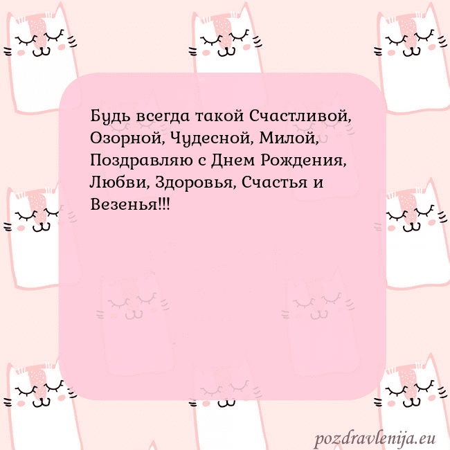 Розовая открытка с забавными кошками