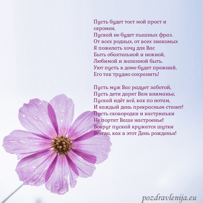 Электронная открытка с фиолетовым цветком