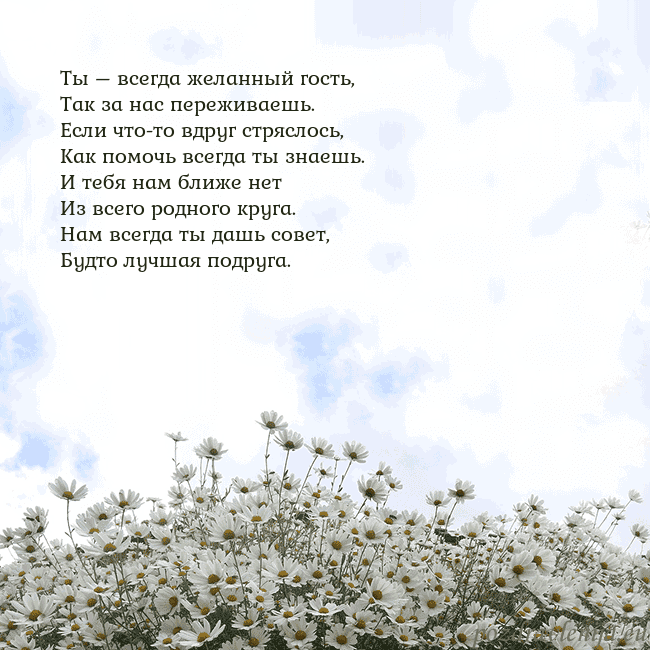 Открытка с ромашками
