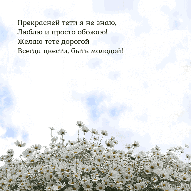 Открытка с ромашками