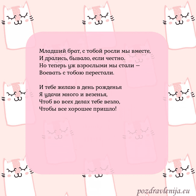 Розовая открытка с забавными кошками