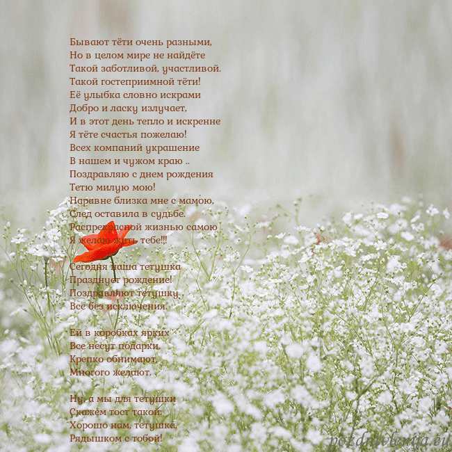 Электронная открытка с белыми цветами