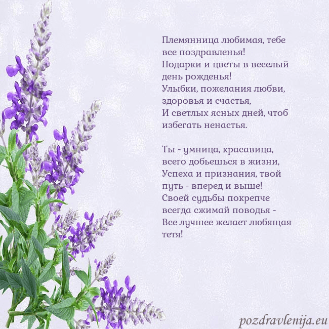 Открытка с люпинами