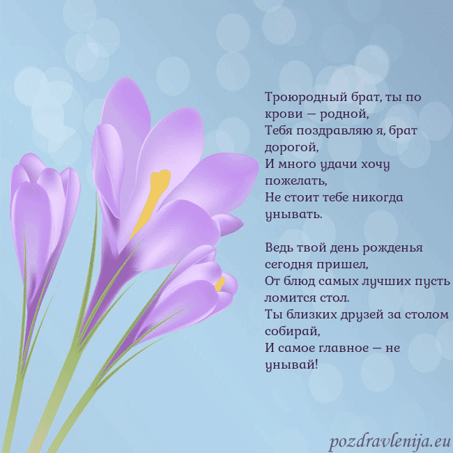 Открытка с крокусом