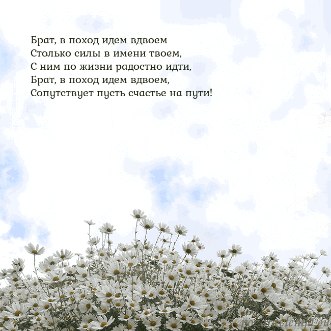 Открытка с ромашками