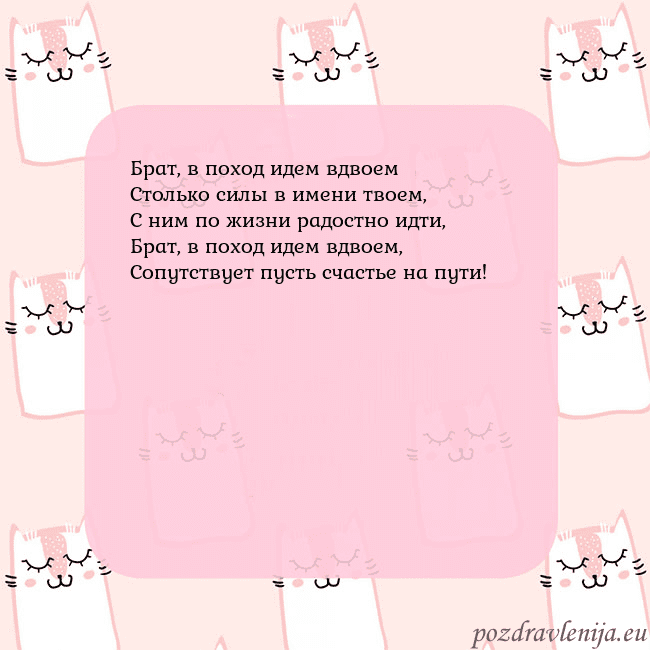 Розовая открытка с забавными кошками