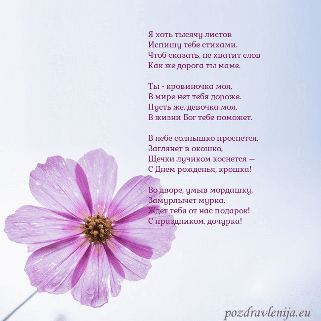 Электронная открытка с фиолетовым цветком