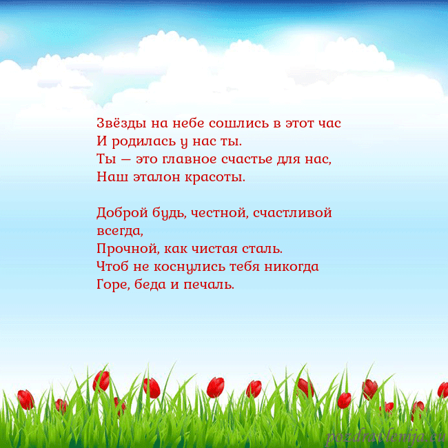 Открытка с тюльпанами