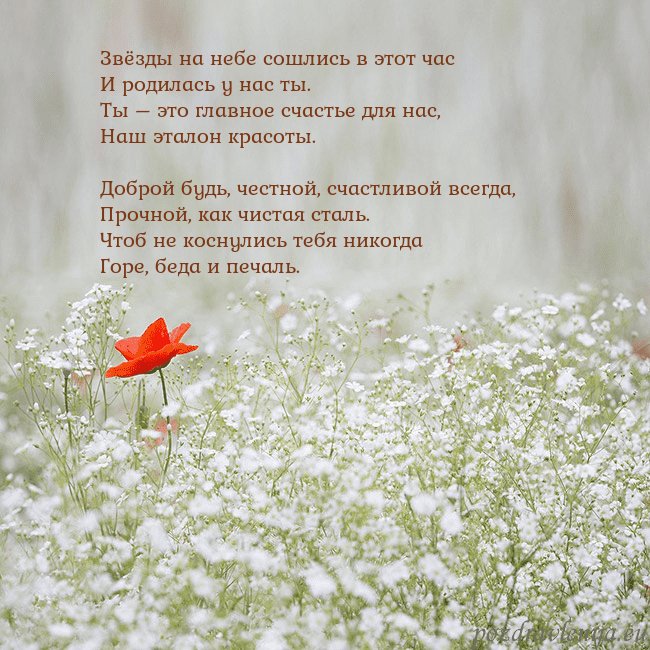 Электронная открытка с белыми цветами