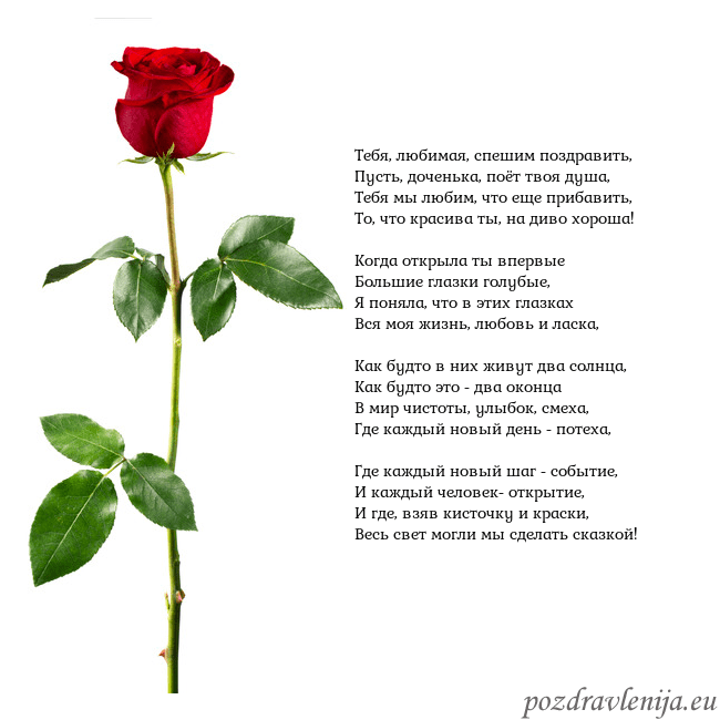 Открытка с красной розой