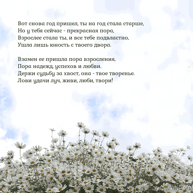 Открытка с ромашками