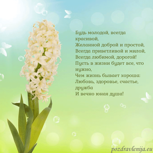Открытка с гиацинтом