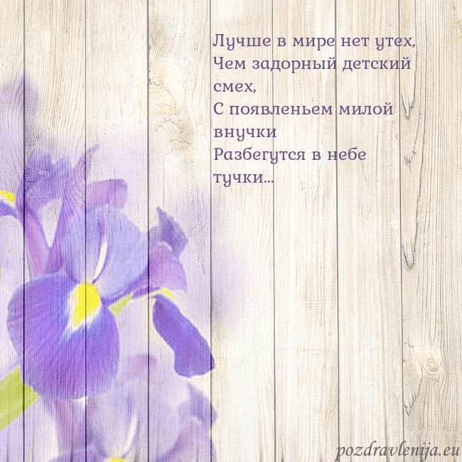 Открытка с ирисами