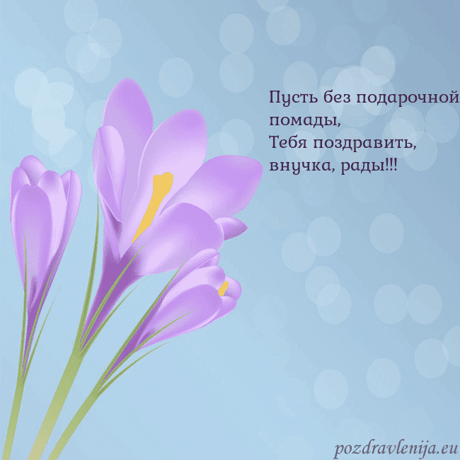 Открытка с крокусом