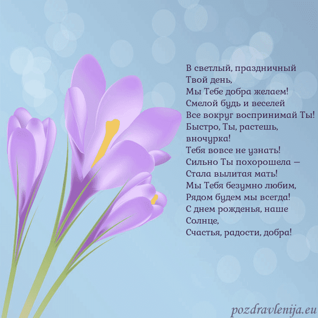 Открытка с крокусом