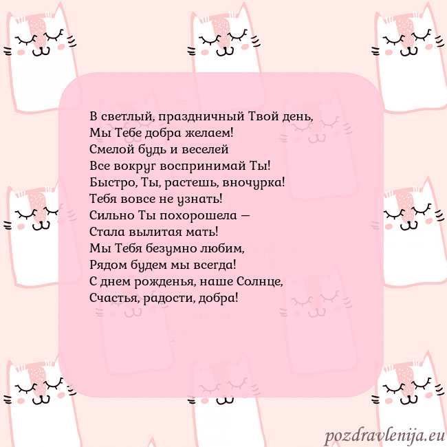 Розовая открытка с забавными кошками