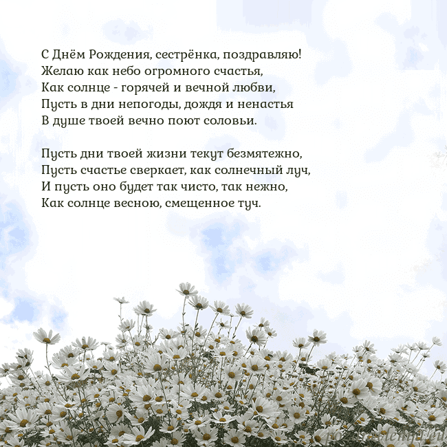Открытка с ромашками