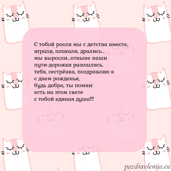 Розовая открытка с забавными кошками