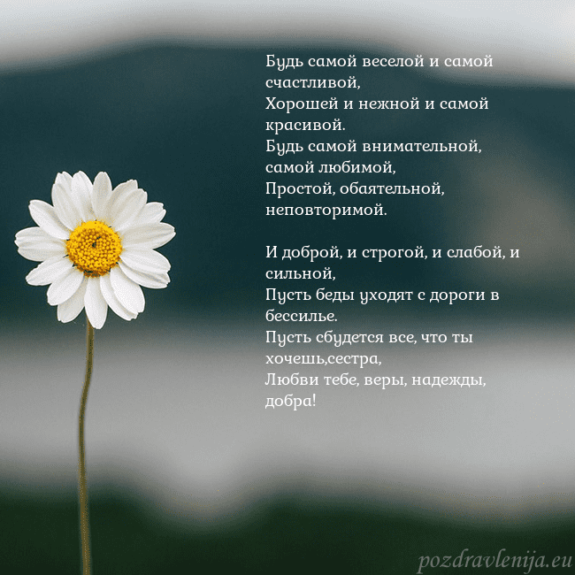 Электронная открытка с ромашкой