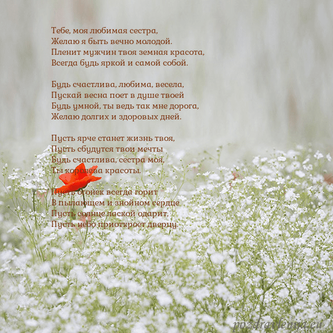 Электронная открытка с белыми цветами