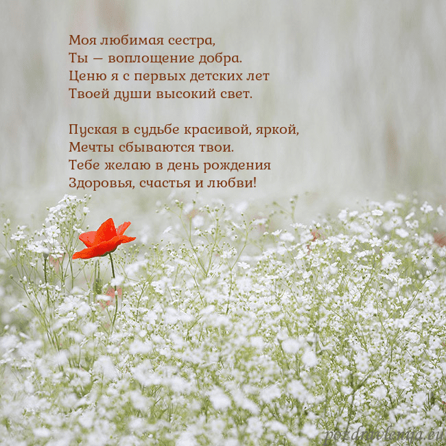 Электронная открытка с белыми цветами