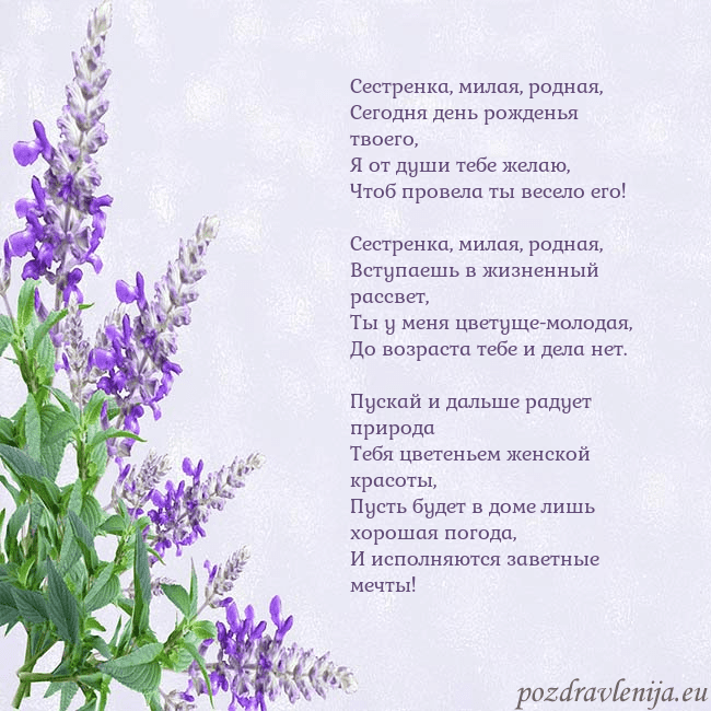 Открытка с люпинами