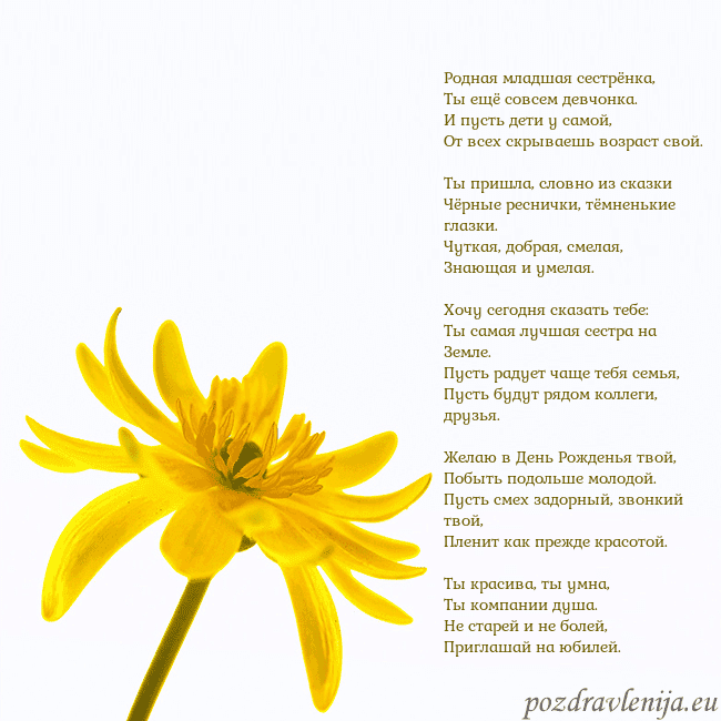 Открытка с желтым цветком Родная младшая сестрёнка,
Ты ещё совсем девчонка. Открытка с желтым цветком