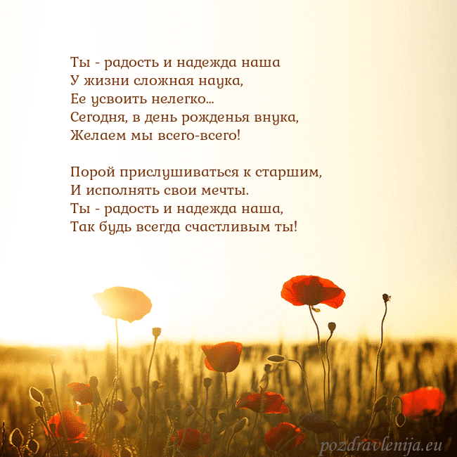 Электронная открытка с полем маков