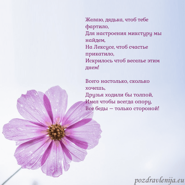 Электронная открытка с фиолетовым цветком