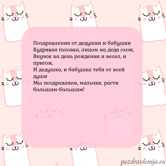 Розовая открытка с забавными кошками