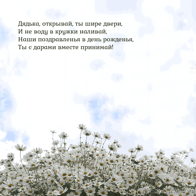 Открытка с ромашками