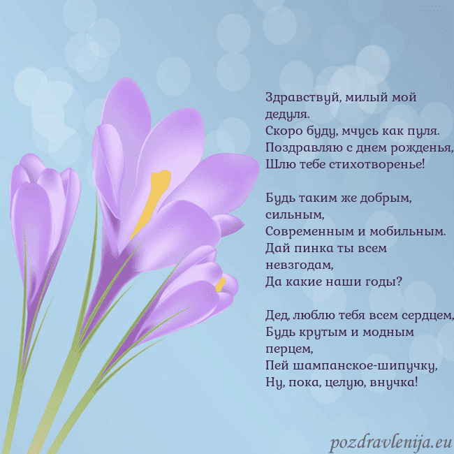 Открытка с крокусом